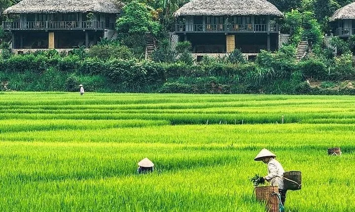 Mai Chau 1 Day Trip: Small Group, Hidden Charm, Cave Exploration