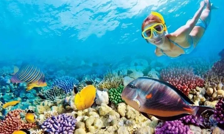 Snorkeling Adventure at Hamata National Park : Marsa Alam
