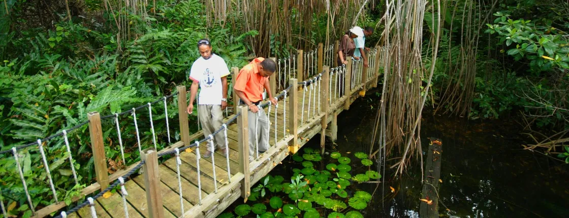 Greenwood Great House and Green Grotto Caves