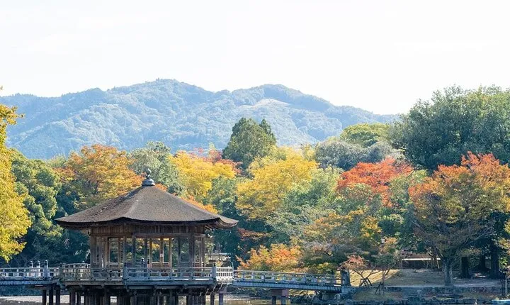 Lake Biwa Shirahige Shrine and Ukimido Day Tour from Osaka Kyoto