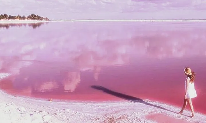 Tour Coloradas and Rio Lagarto