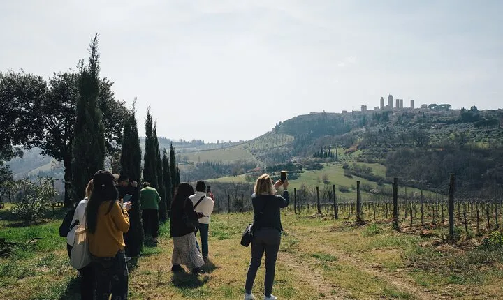 Private Tour from Florence to Pisa Siena S Gimignano and Chianti