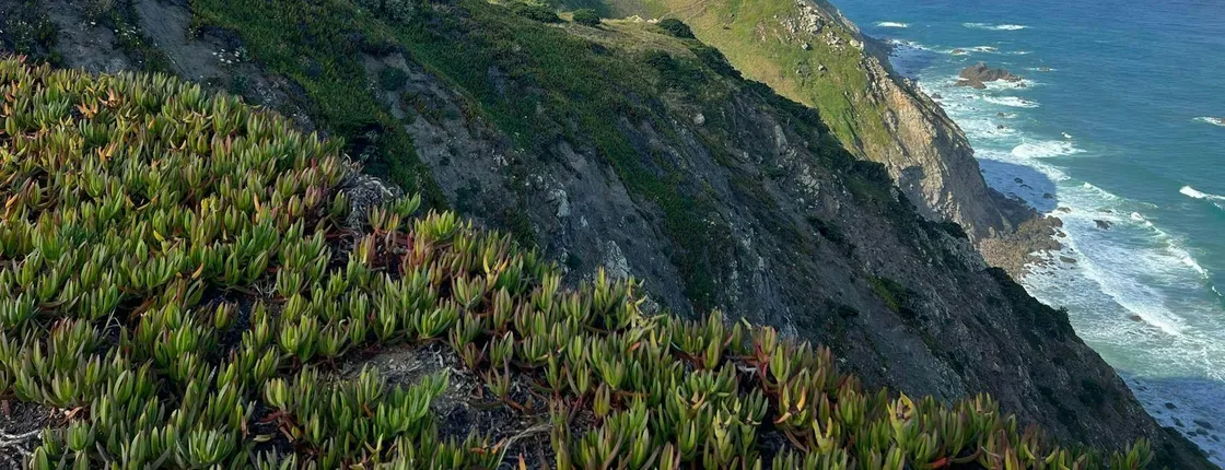 4x4 guided experience along Cascais Coast and Sintra