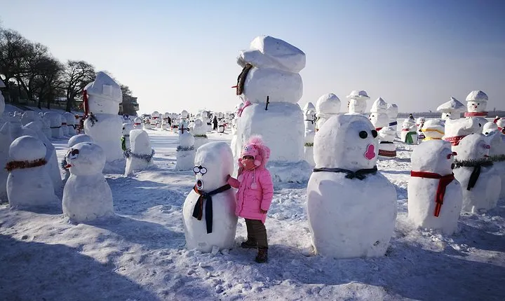 4-Day Private Harbin Tour Combo Package of Winter Highlights with Meal Options