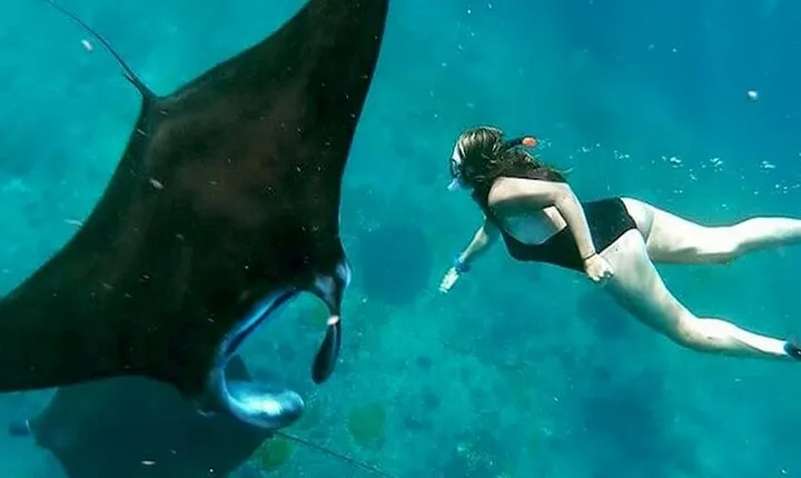 Private All Inclusive Nusa Penida Snorkeling and Tour