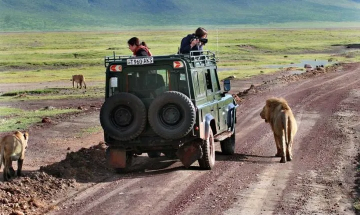 2 Day Private Safari in Lake Manyara and Ngorongoro Crater National Park