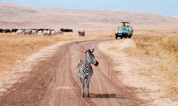 5 Days Exclusive Camping Adventure in Northern Tanzania