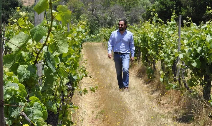 Countryside Tour through Maipo Valley