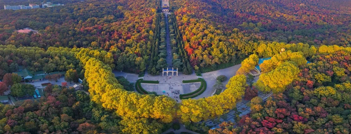 Private tour of ancient Nanjing with a local guide