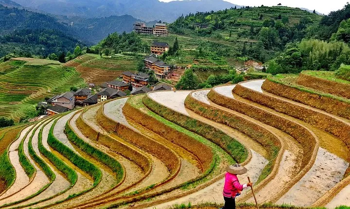 2-Days Guilin Tour Including the 4 Star Boat and Yangshuo and Longji Terraces