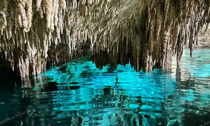 VIP 2 Cenotes Tour Adventure with Private Guide