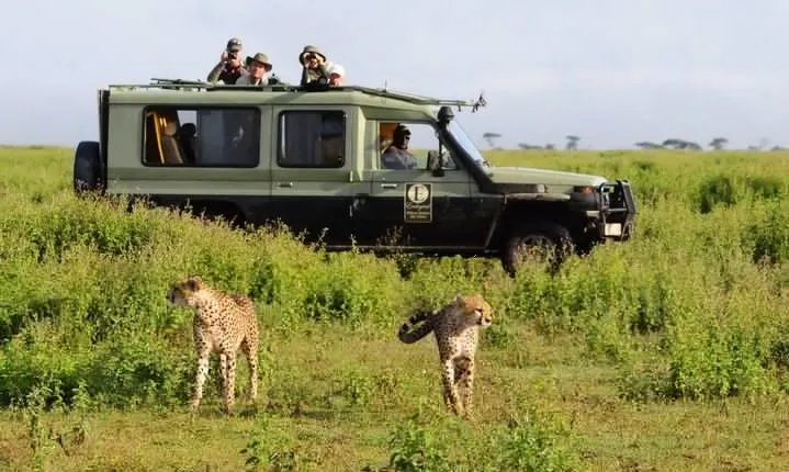 3 Day Best Camping Safari in Tanzania Parks