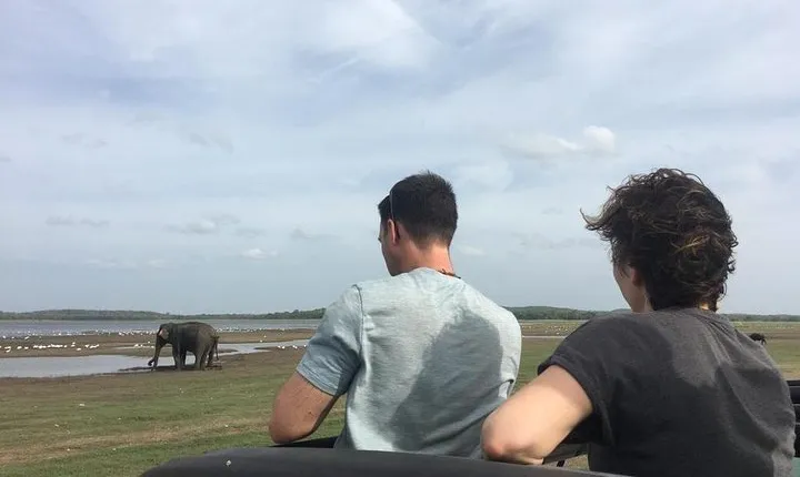 Private Jeep Safari at Minneriya National Park