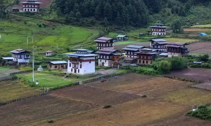 Western Bhutan Tour-7 Days