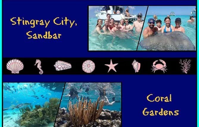 Stingray City and Snorkel Tour ( 2-Stops Adventure)