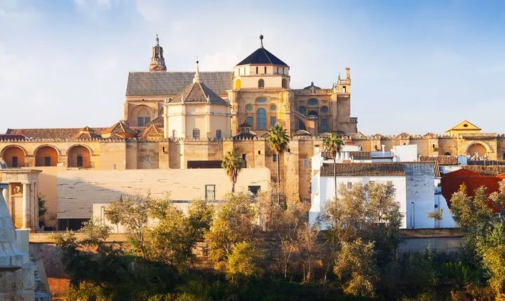 Cordoba Tour with Mosque, Synagogue and Patios from Malaga