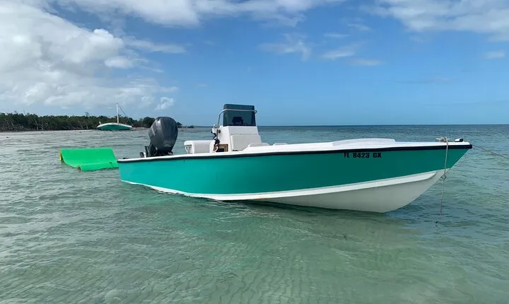 Private Boat Tour to Sand Bar Snorkel Dolphins and Sunset