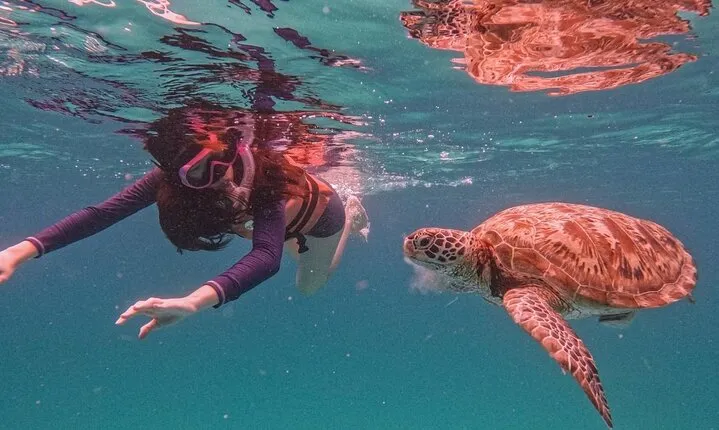 Pulau Redang Snorkeling and Island Hopping Full Day Tour