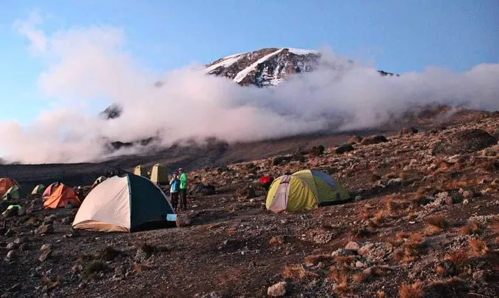 7 Days Mount Kilimanjaro Rongai Route Climb
