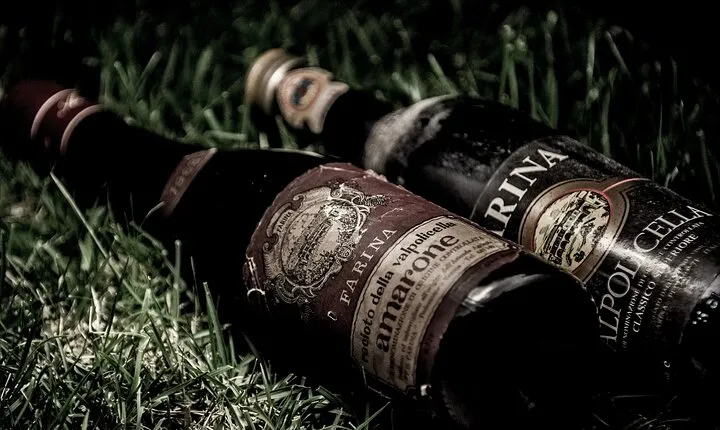 Food and Wine Tasting in Valpolicella