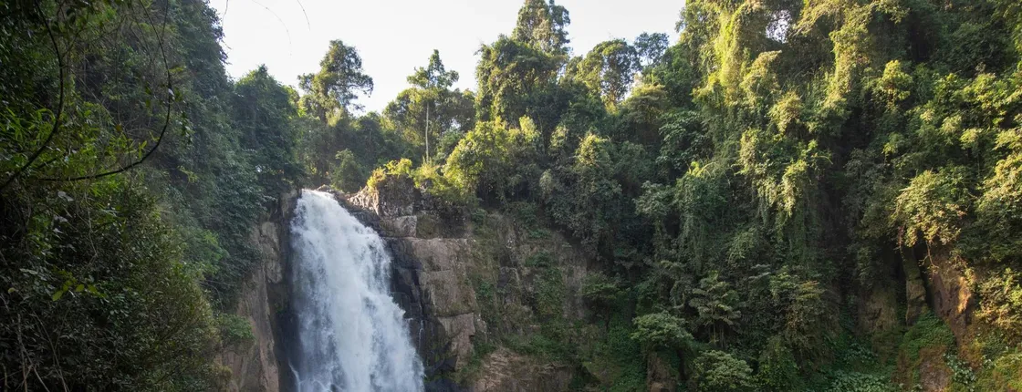 Full-day Khao Yai National Park guided tour from Bangkok