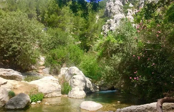 Afternoon Trip to the Algar Waterfalls from Benidorm