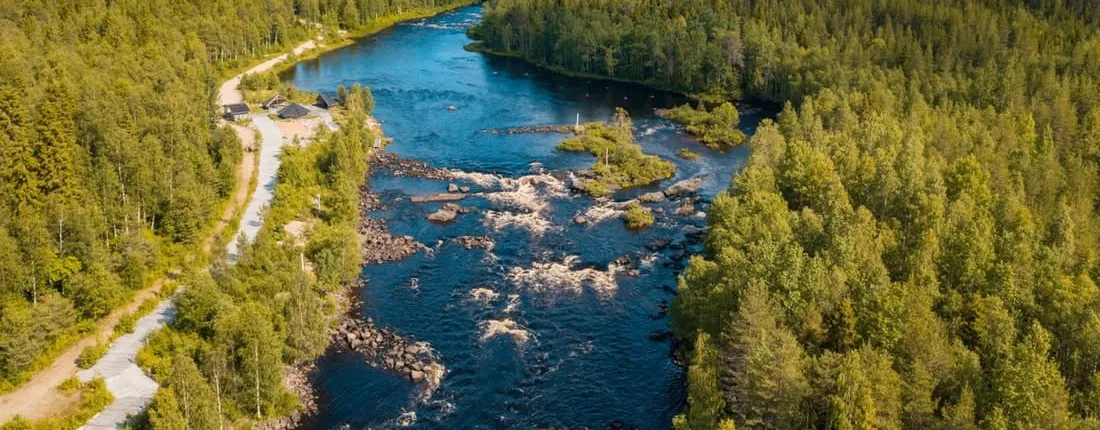 Hiking Adventure in Vikaköngäs