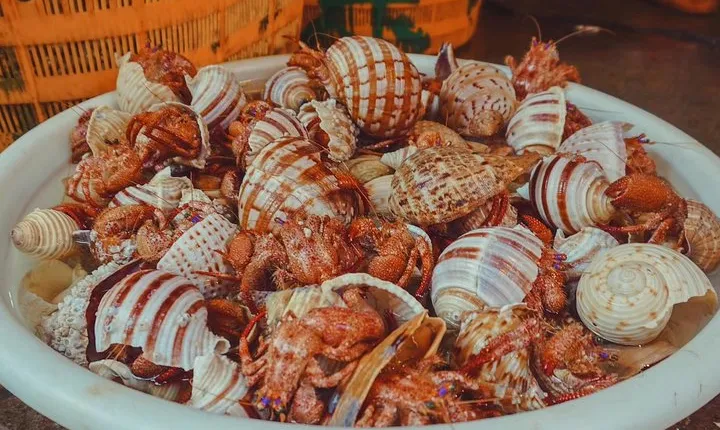 Private Xiamen Sea Food Market & Zhongshan Road Shopping and Eating Experience