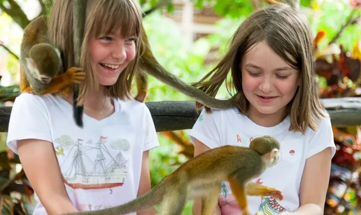 Punta Cana Monkeyland and Zipline Two Adventures in One Day