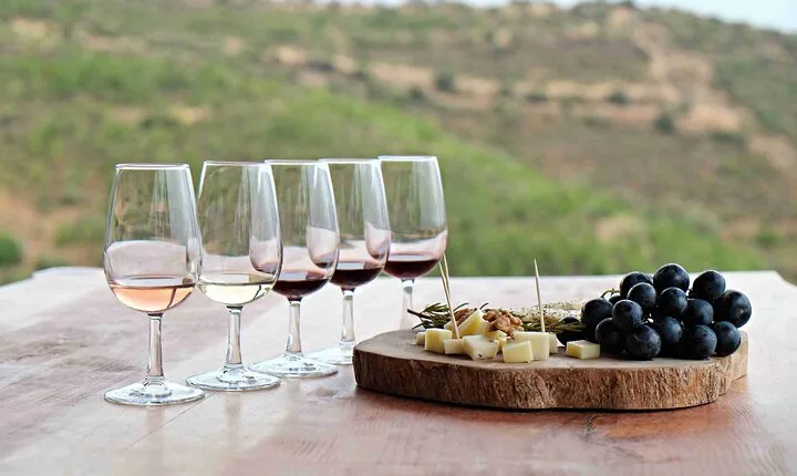 All inclusive, Full Day Wine Tour in Cape Town