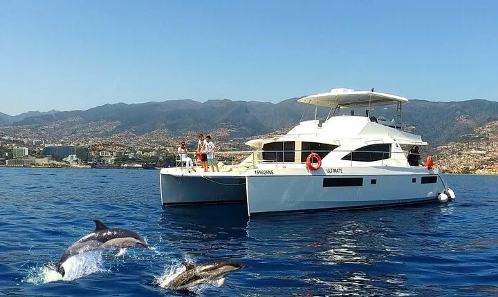 VipDolphins Luxury Whale Watching