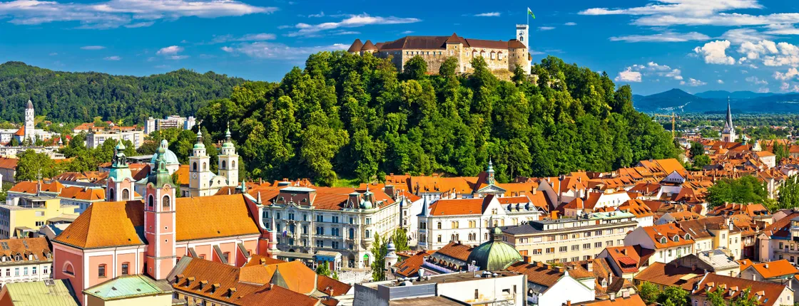 Highlights of Ljubljana from Trieste