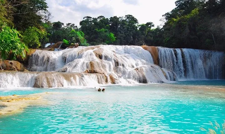 From Palenque Tour to Agua Azul and Misol Ha