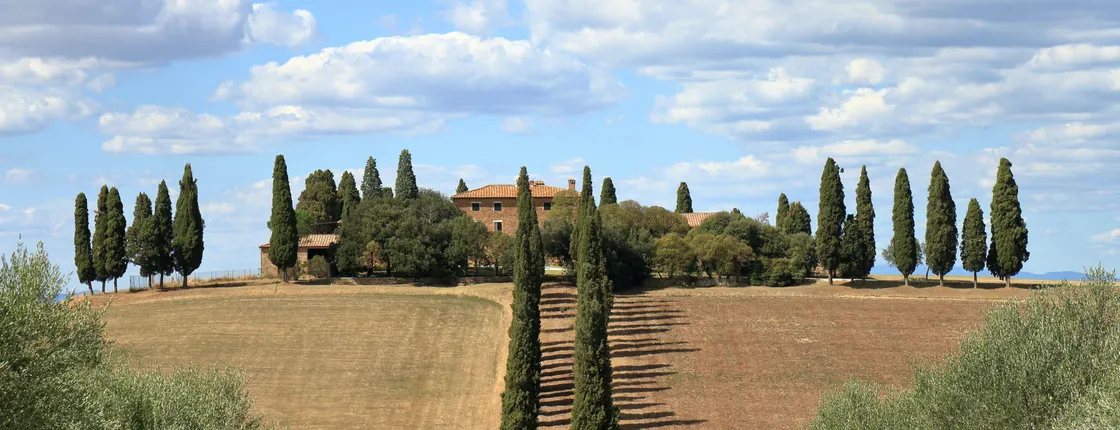 Guided tour of the movie sets in Valdichiana and Val d’Orcia