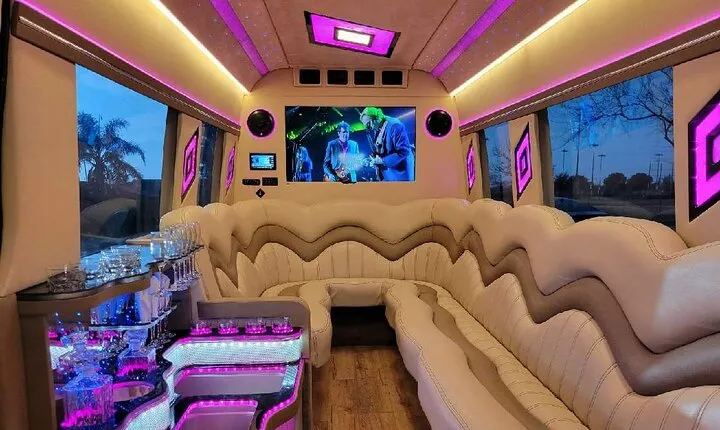Hollywood Private Tour in 12-Passenger Mercedes Party Bus