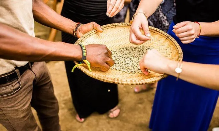 Coffee Tour Experience from Arusha