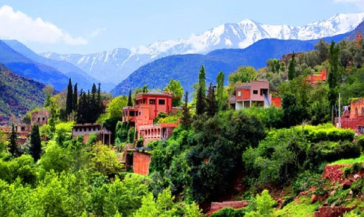 Marrakech: Atlas Mountains and 4 Valleys Tour