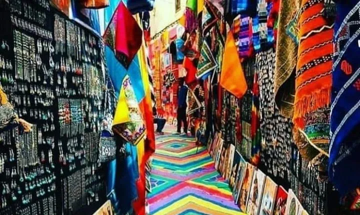 Fes Medina: Half-Day guided Tour