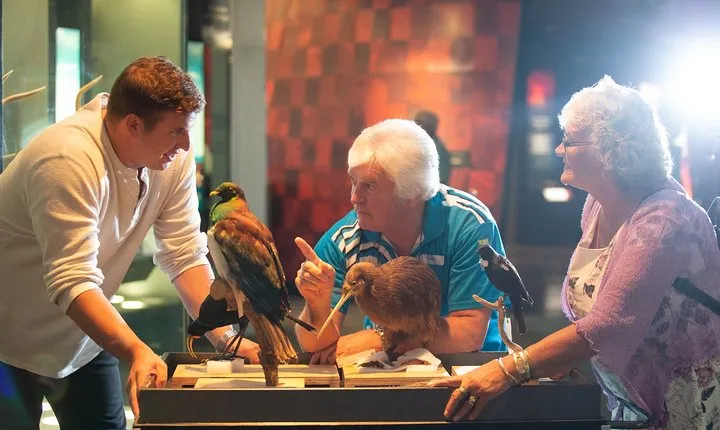 Museum of New Zealand Te Papa Tongarewa: Introducing Te Papa Tour