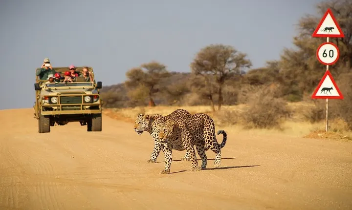 12 Day Classic Namibia Camping Safari