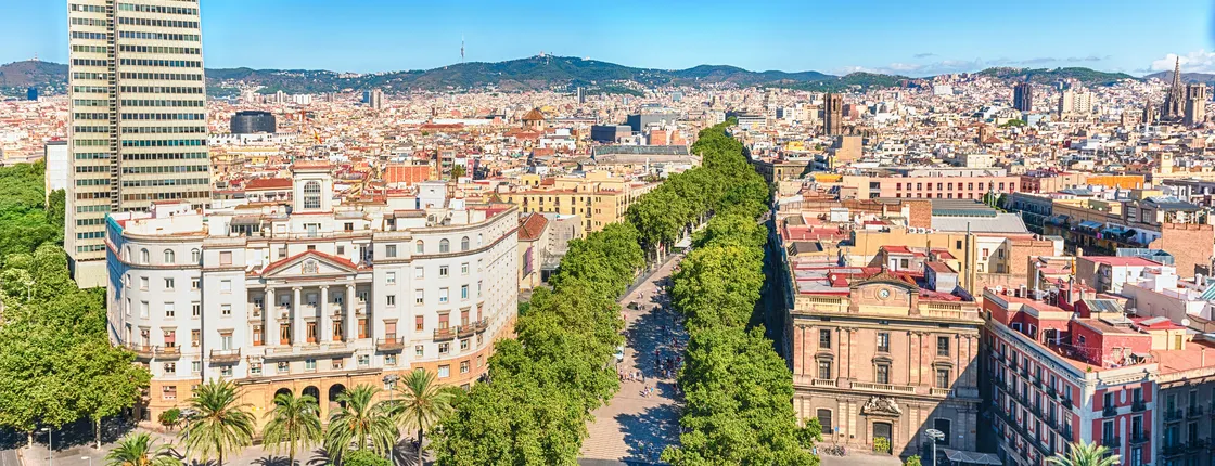 Barcelona half-day highlights tour