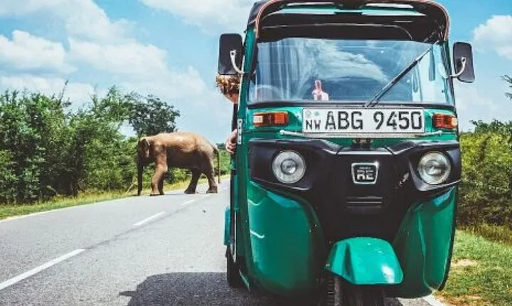 Sigiriya and Dambulla Private Day Tour by Tuk-Tuk or Car