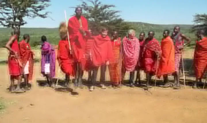 Masai Mara Interactive Safaris