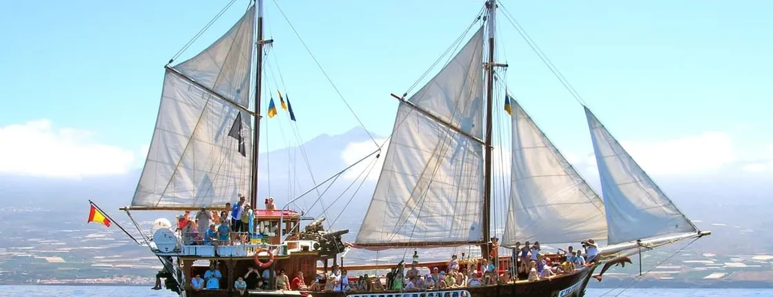 Los Gigantes Flipper Uno dolphin and whale-watching cruise