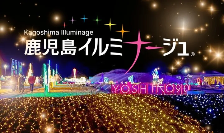 Kagoshima's Largest Winter Light Display