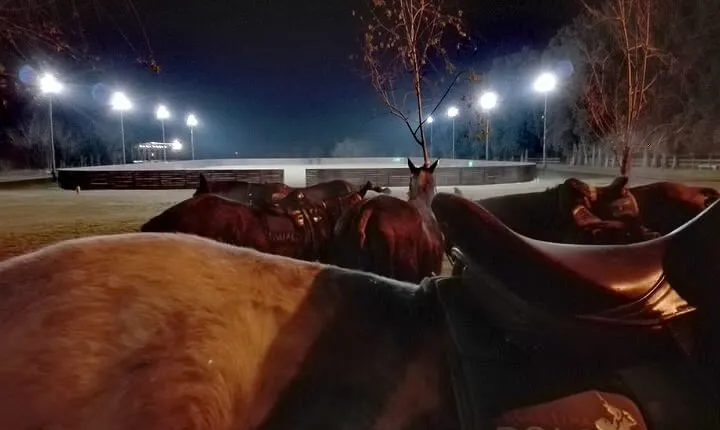 Polo Under the Stars and Argentine BBQ Evening Venue from Buenos Aires
