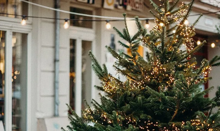 Festive Journey in Sirmione Christmas Walking Tour