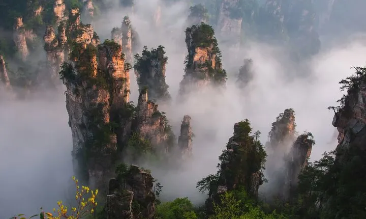 1-Day Private Tour to ZJJ National Forest Park & Avatar Mountain