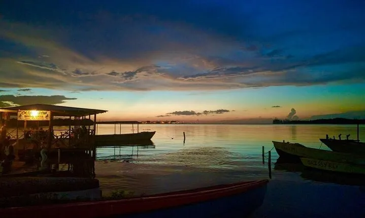 Luminous Lagoon Night Experience From Montego Bay