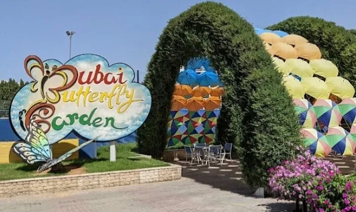 Dubai Butterfly Garden Entry Ticket Only